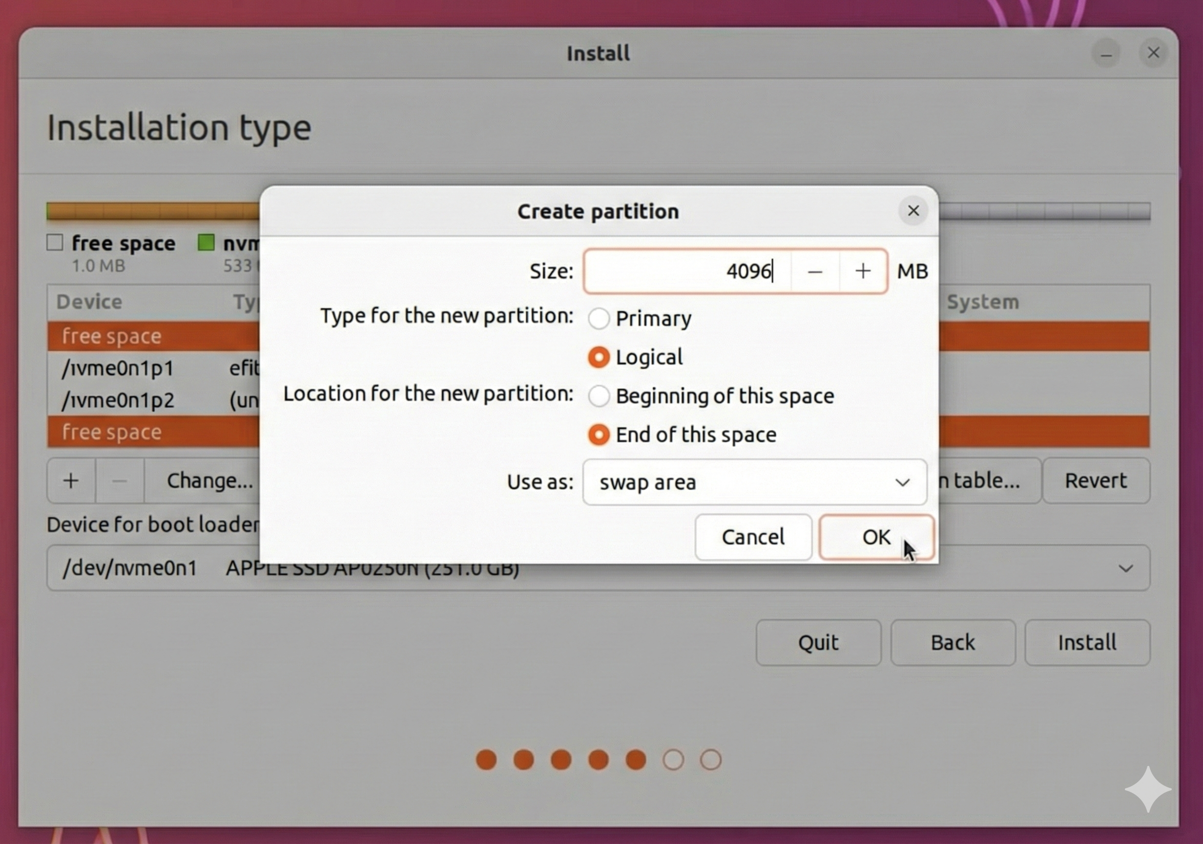 Creating the Swap partition