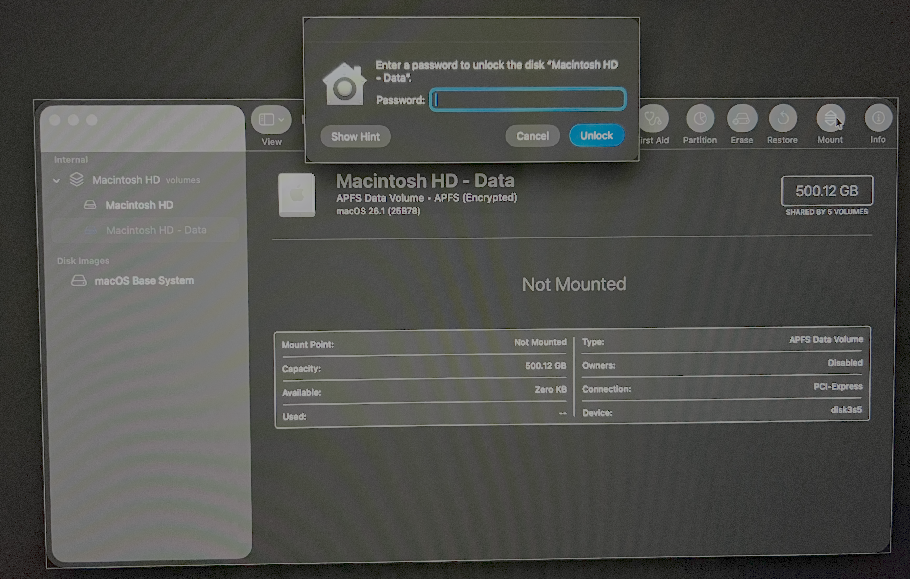 Unlocking the encrypted volume